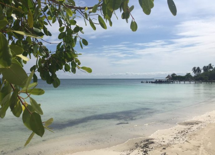 FIR-Fundacion-Islas-del-Rosario-4